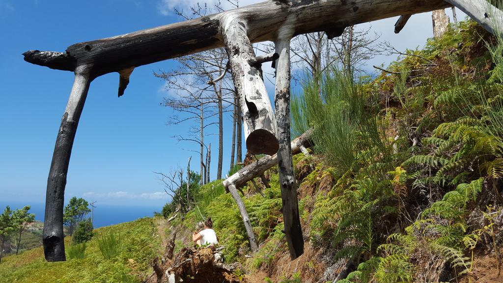 Casa Franco Βίλα Ponta do Pargo Εξωτερικό φωτογραφία